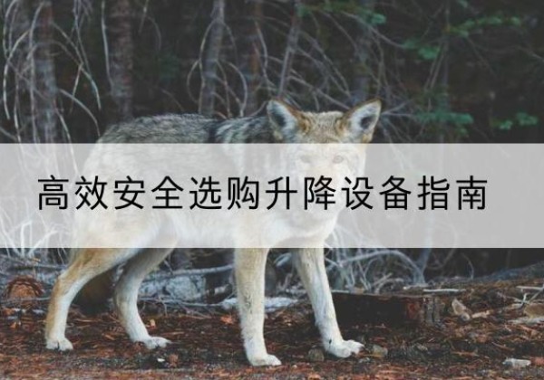 印台升降货梯厂家推荐-*安全选购升降设备指南