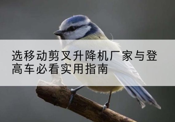 印台电动升降机厂家-选移动剪叉升降机厂家与登高车必看实用指南