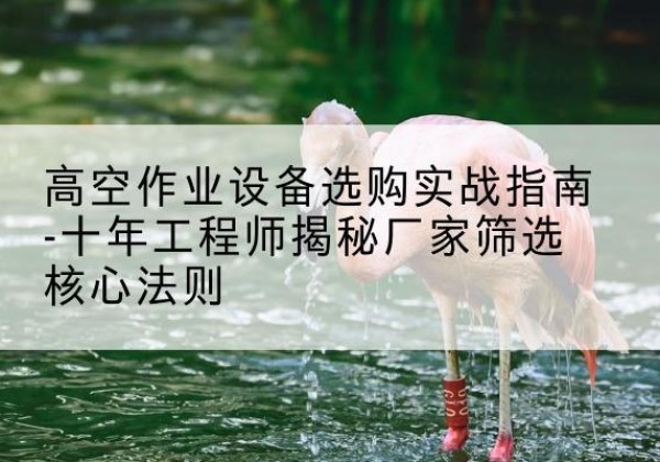 印台剪叉式升降机厂家-高空作业设备选购实战指南-十年工程师揭秘厂家筛选核心法则